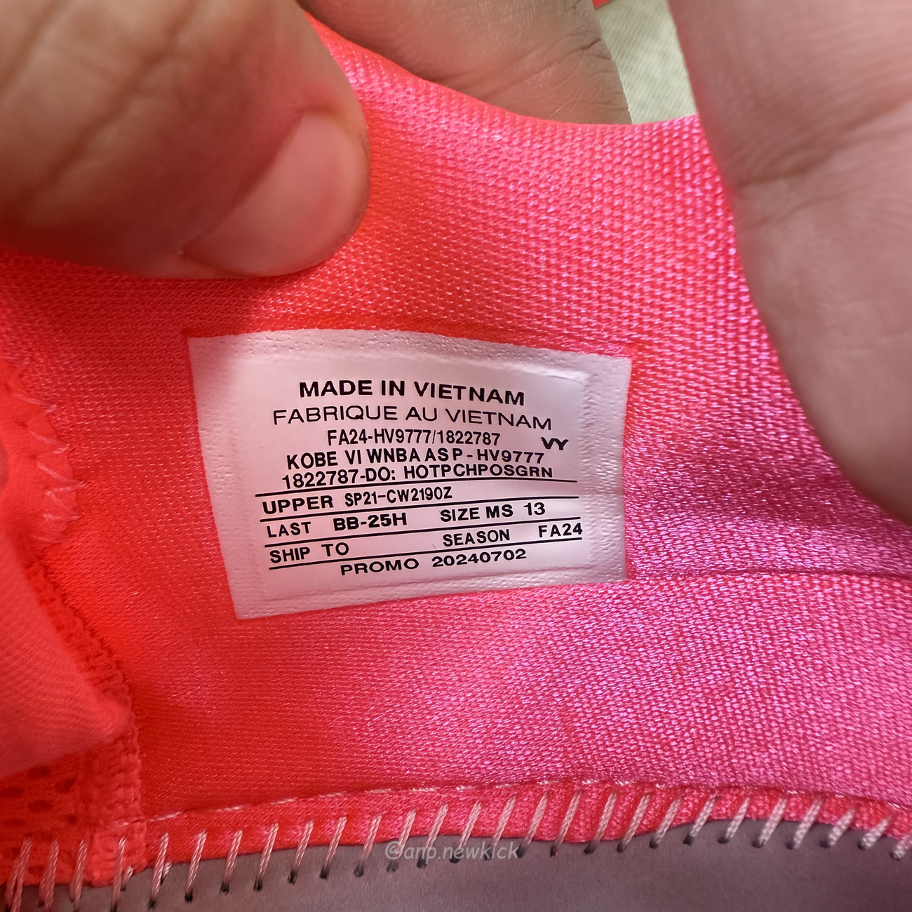 Nike Kobe 6 Protro   Wnba All Star Pe (5) - www.newkick.org